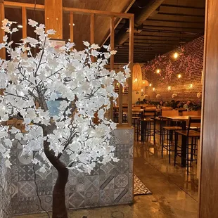 Absolutely love the ambiance of this place