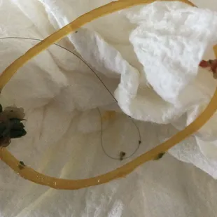 Ngu Binh Westminster