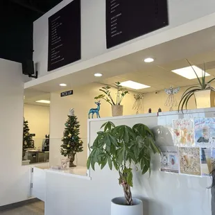 Menu and ordering area