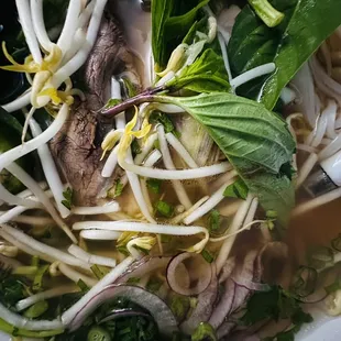 Pho Soup