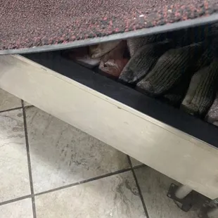 At Nuygen Loi supermarket. Fresh fish with a rug covering it. Totally gross!