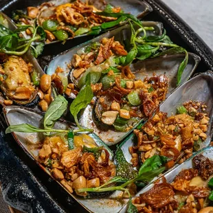 mussels, shellfish, food, oysters and mussels, oysters