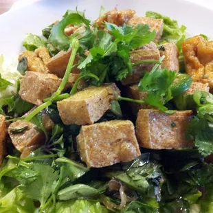 Fried Tofu