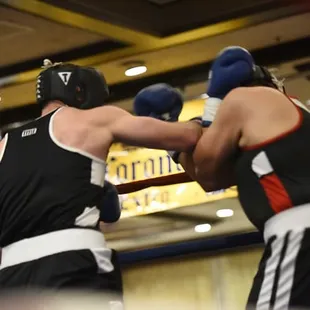 Webb about to win his fight with a KO