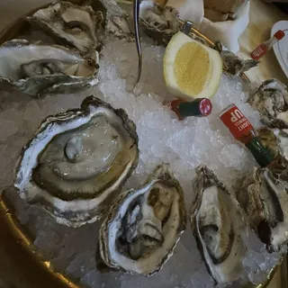 Oyster*