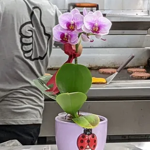  a man preparing food in a commercial kitchen