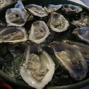 Raw Oysters were so fresh!