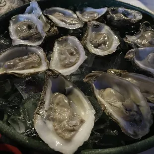 Raw Oysters were so fresh!