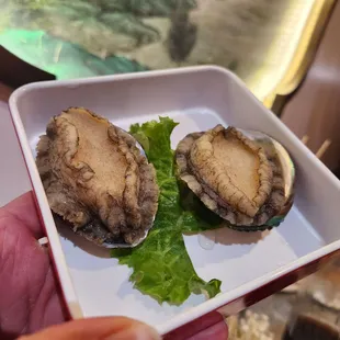 Abalone