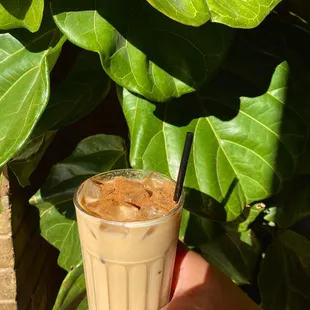 Brown Sugar Latte Iced