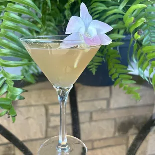Champagne martini with fresh flower garnish.