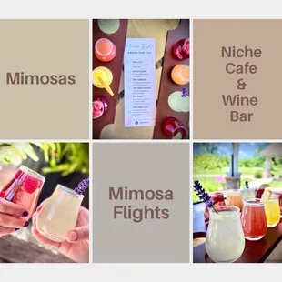 Mimosa flights