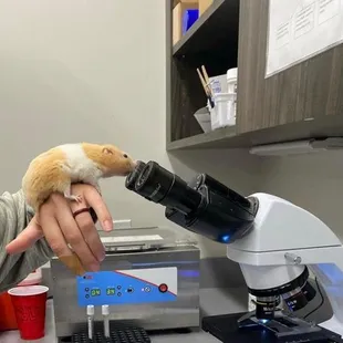 Nicholasville Road Animal Hospital