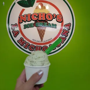 Nicho's pistachio ice cream