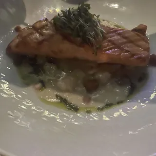 Grilled Scottish Salmon