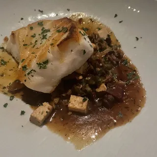 Fish of the Day