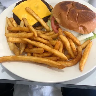 Cheeseburger and fries
