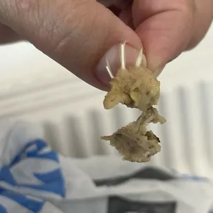 Chicken skin with feather tips found in my chicken gyro pita wrap