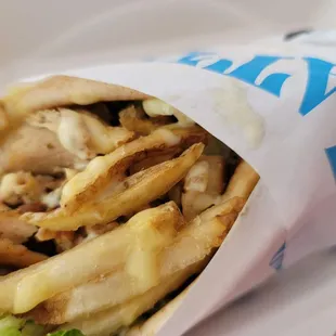 a wrap of french fries