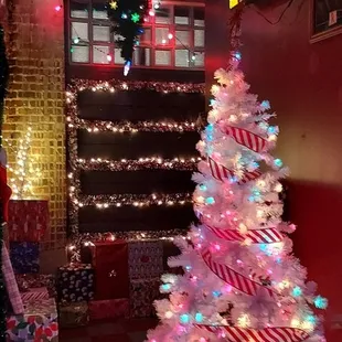 So many Christmas trees.