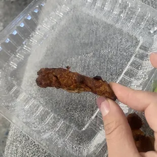 &quot;Jumbo wings&quot;