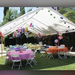20/30 top only canopy