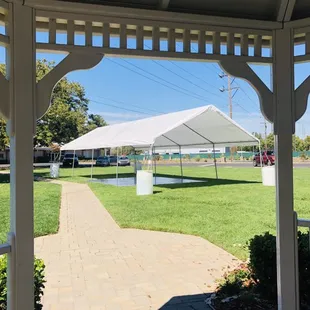 20/40 top only canopy
