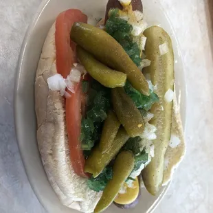 Chicago Style Dog