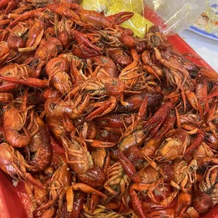 Live Boiled Crawfish