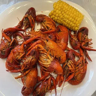 Live Boiled Crawfish