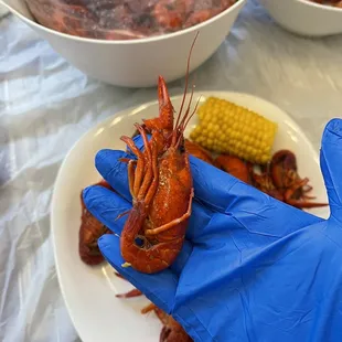 Live Boiled Crawfish