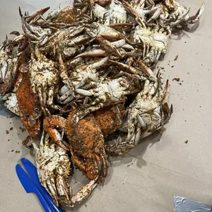 1/2 bushel of mediums (08/03/24)