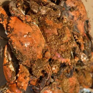 a pile of crab
