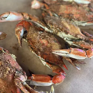Blue crabs