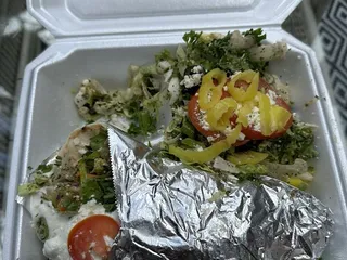 Grecian Gyro