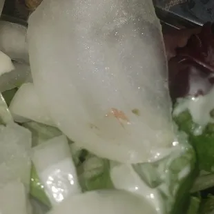 Onion skin on onion
