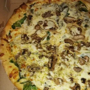 White Pizza with mushrooms added, and extra cheese...YUM