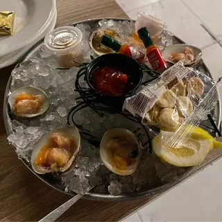 Clams DZ Little Necks