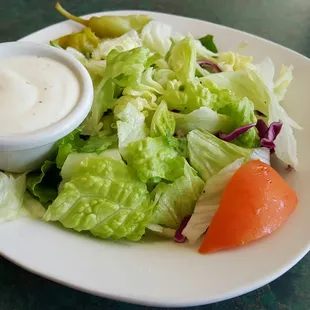 Side salad with today's lunch special