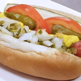 Chicago Style Hot Dog