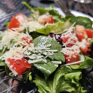 The Side salad was perfect!