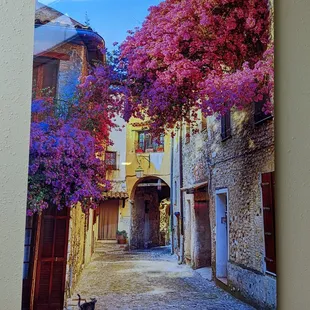 a cat walking down a cobblestone street