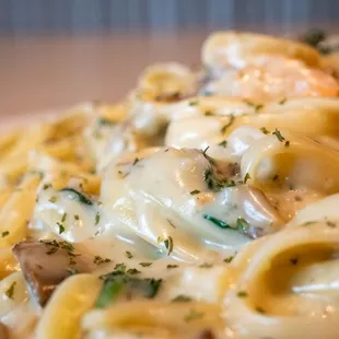 pasta, food, pasta dish