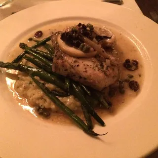 New Zealand Sea Bass