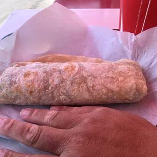 Carne Asada Burrito