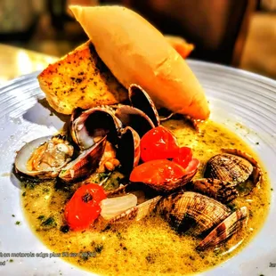 "Nico's Steamed Clams" Manila Clams, Beer Steamed w/ Tomato, Onion + Garlic. Garlic Butter Bread. Delicious!