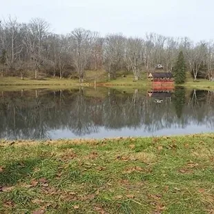 Beautiful lake in this farm