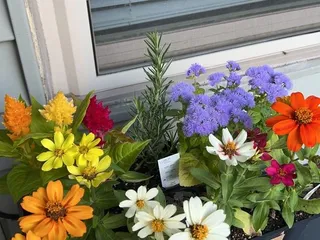 Uncle Bill's Garden Center