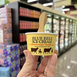 Sample of Blue Bell Ice Cream