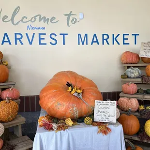 Just like the pumpkins at the Half Moon Bay festival in CA.